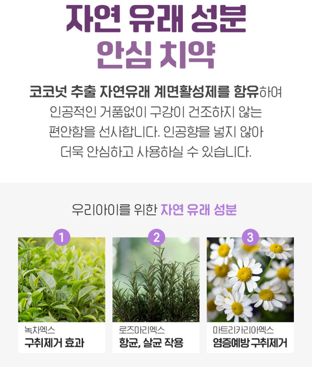 SR 포차코 TOOTHPASTE