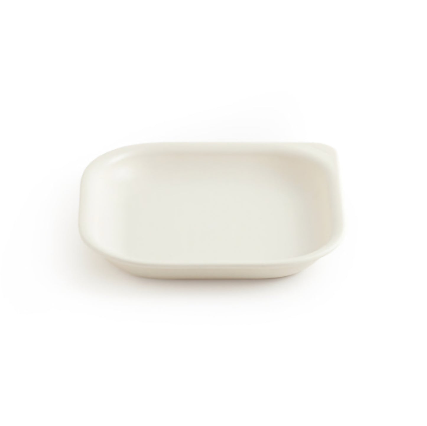 ECOZEN DAILY PLATE (S)