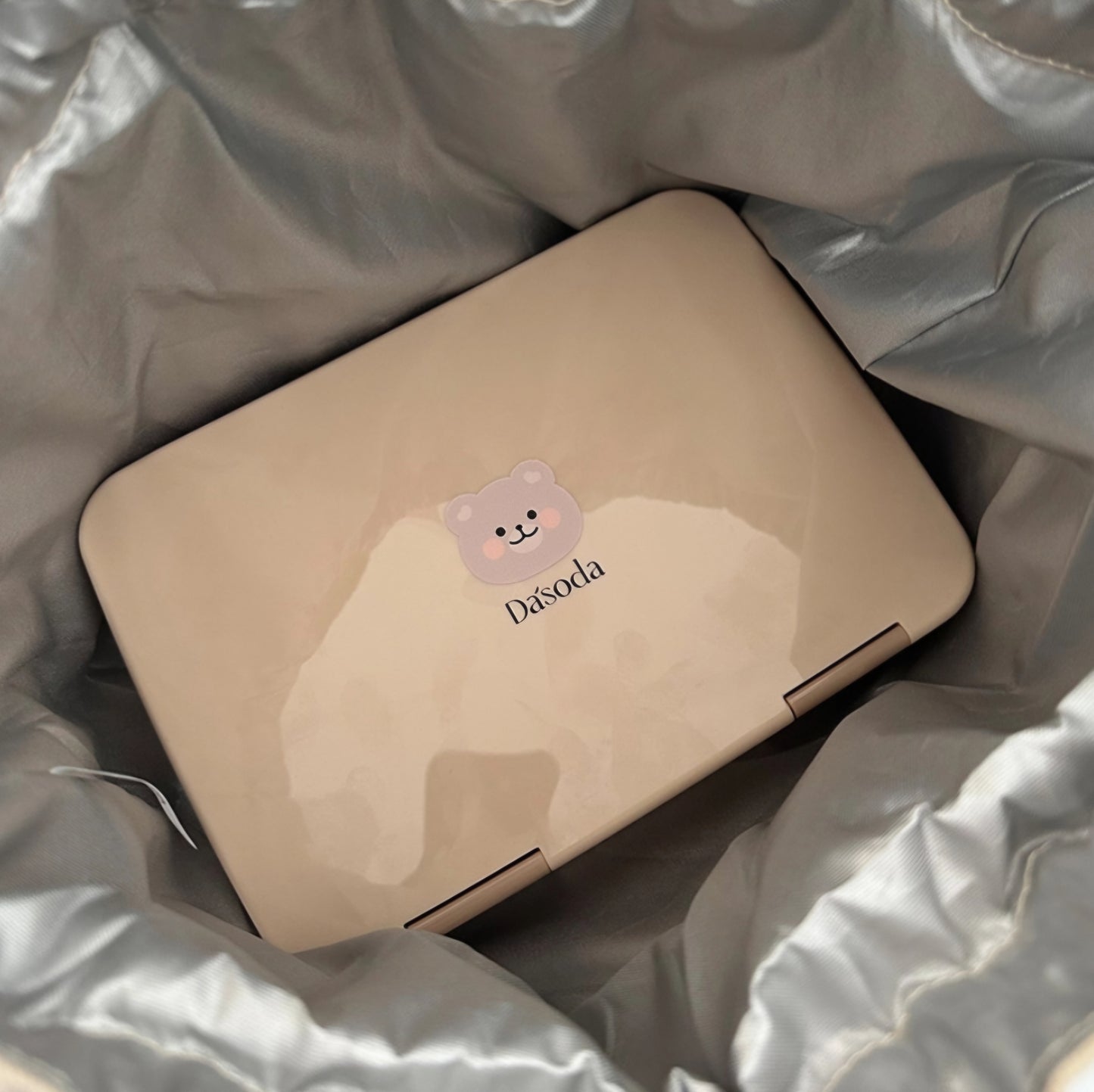 BEAR BOX INSULATED LUNCH BAG