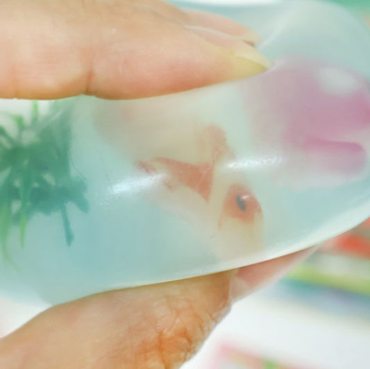 SEA ANIMAL FRIENDS SQUISHY