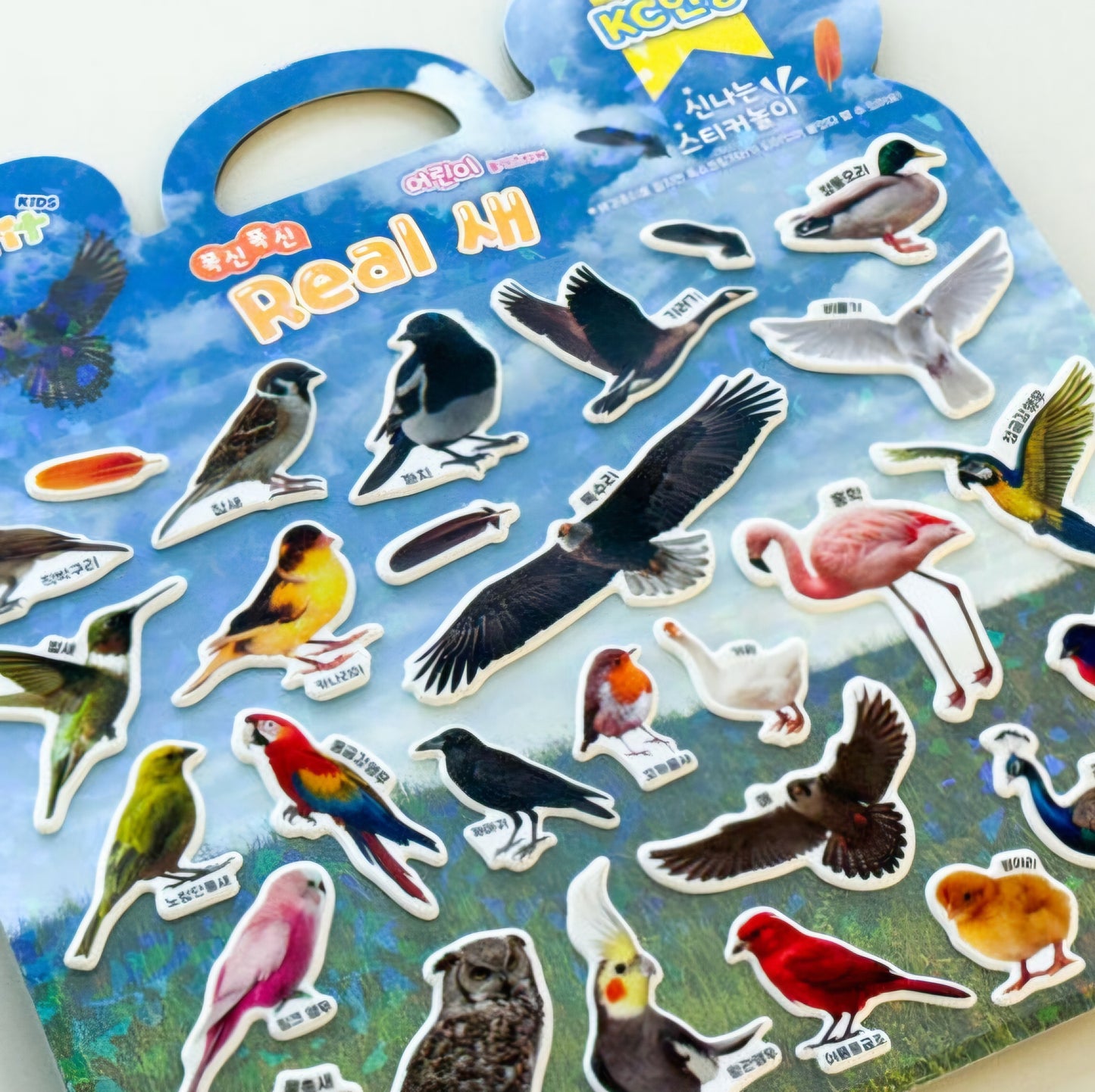 REAL BIRD STICKER BAG