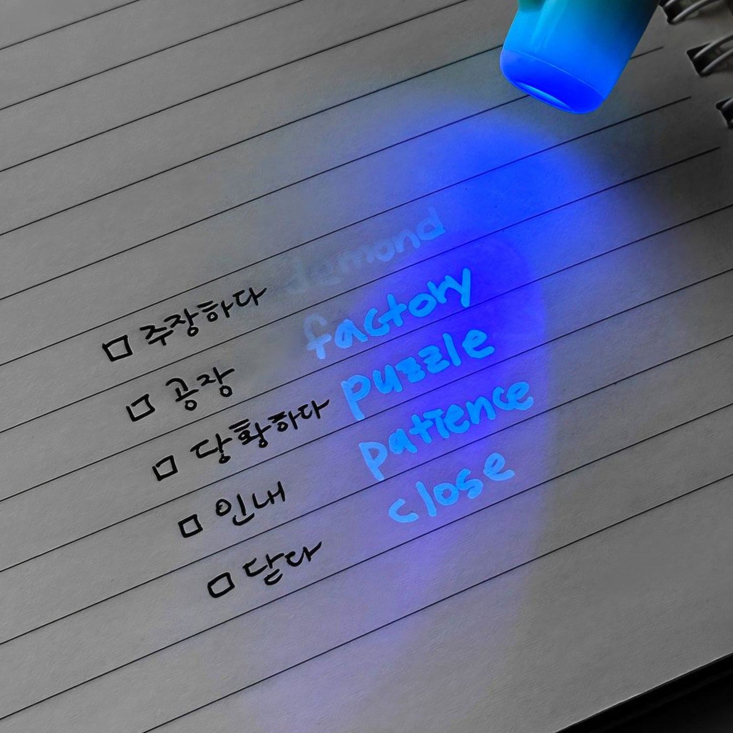 SECRET PEN
