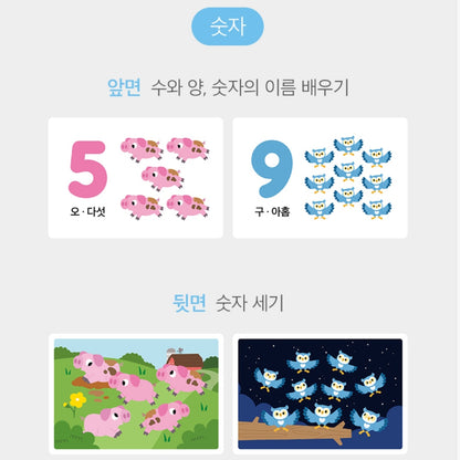 HATTUNG MAGNETS AND CARD SET - NUMBERS