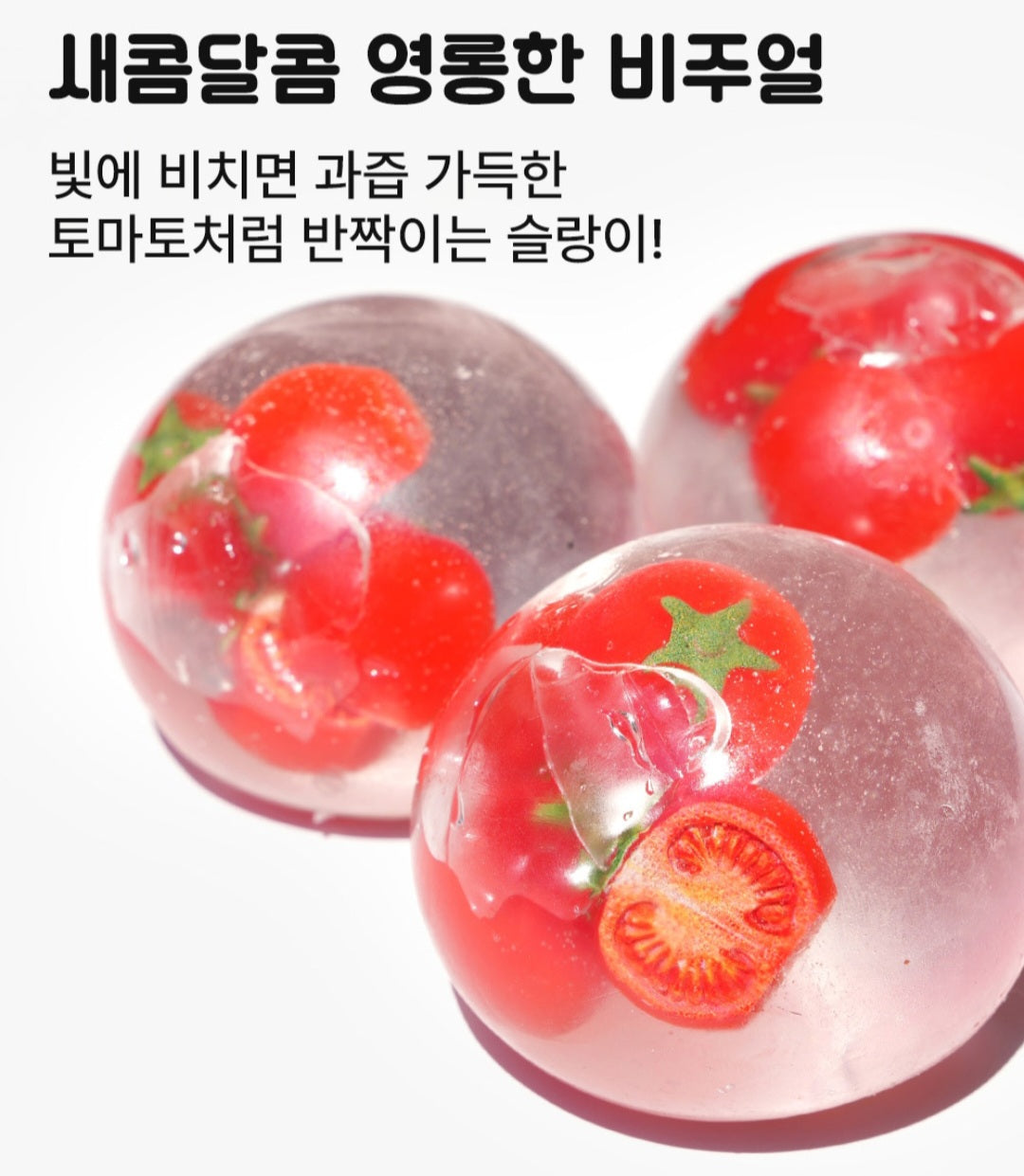 TOMATO SQUISHY