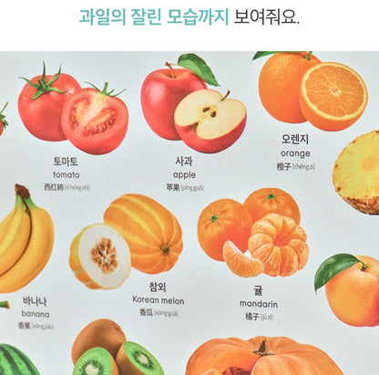 8단 하뚱세이하우스 병풍