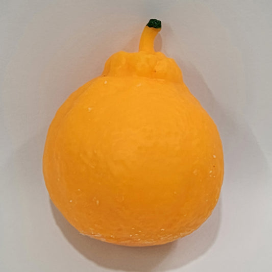 CRUNCHY ORANGE SQUISHY