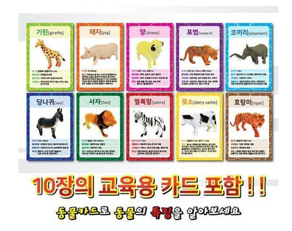ANIMAL FRIENDS ADVENTURE