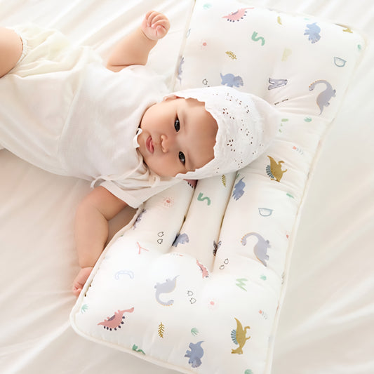 ALPHABET DINO WIDE PILLOW
