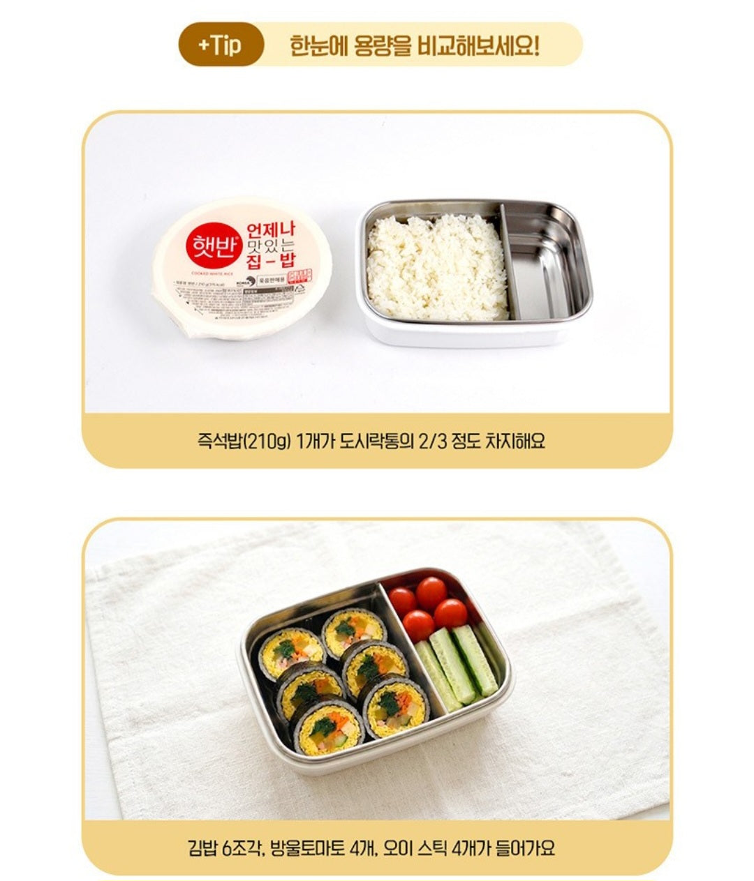 BEAR 2 SECTION BENTO