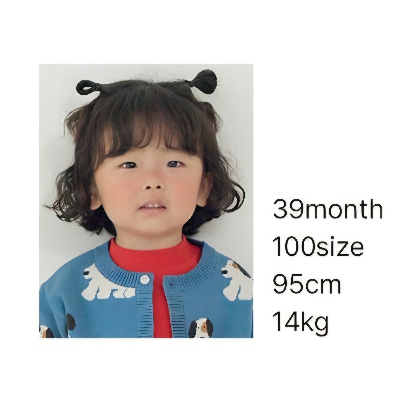 [PREORDER] LITTLE FORET BLUE KNIT CARDIGAN