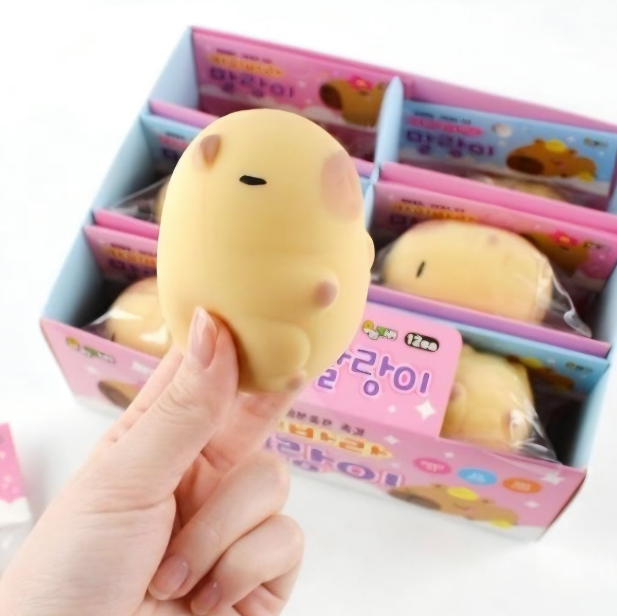 (5) CAPYBARA SQUISHY