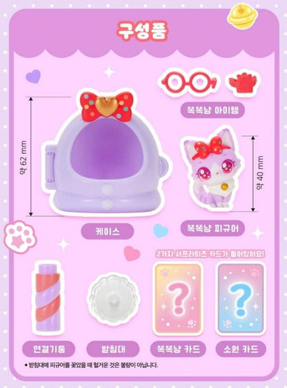 WISH CAT 똑똑냥