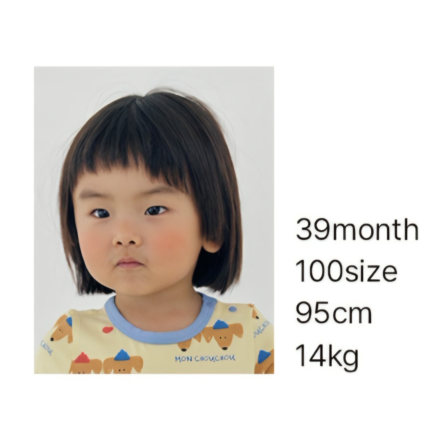 [PREORDER] DREAMING MODAL STRETCH SET