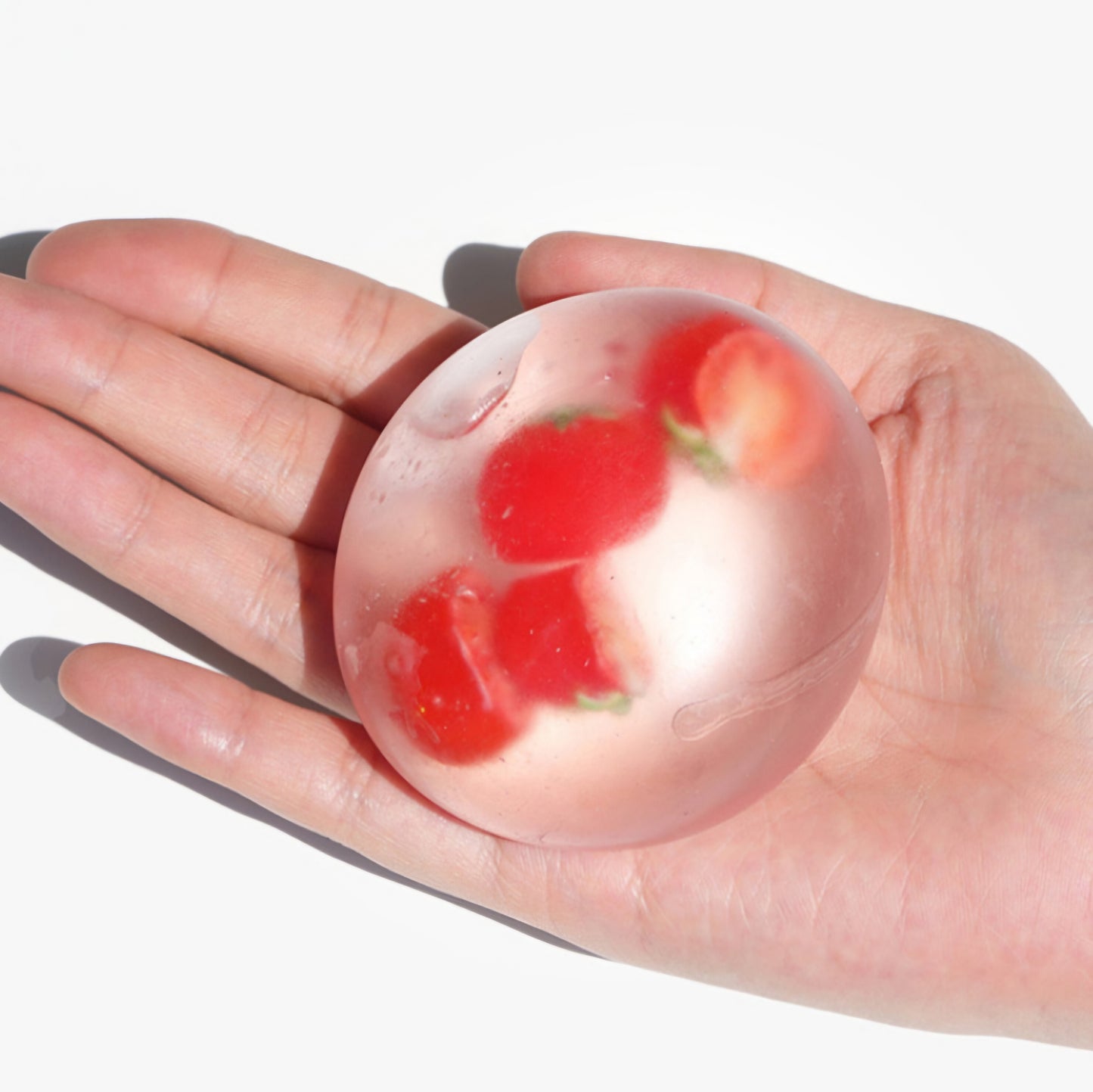 TOMATO SQUISHY