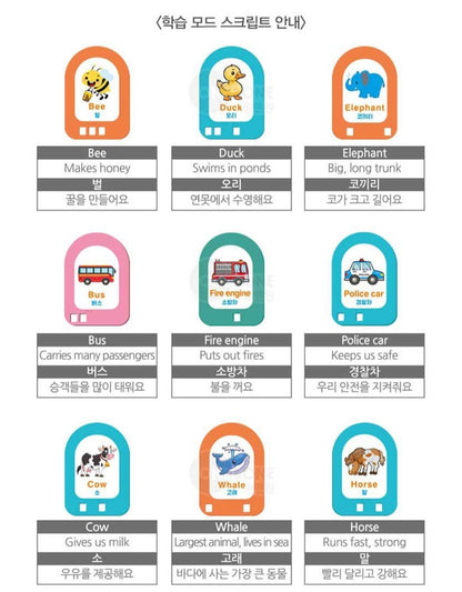 BRAIN LEARNING EDU TRAIN