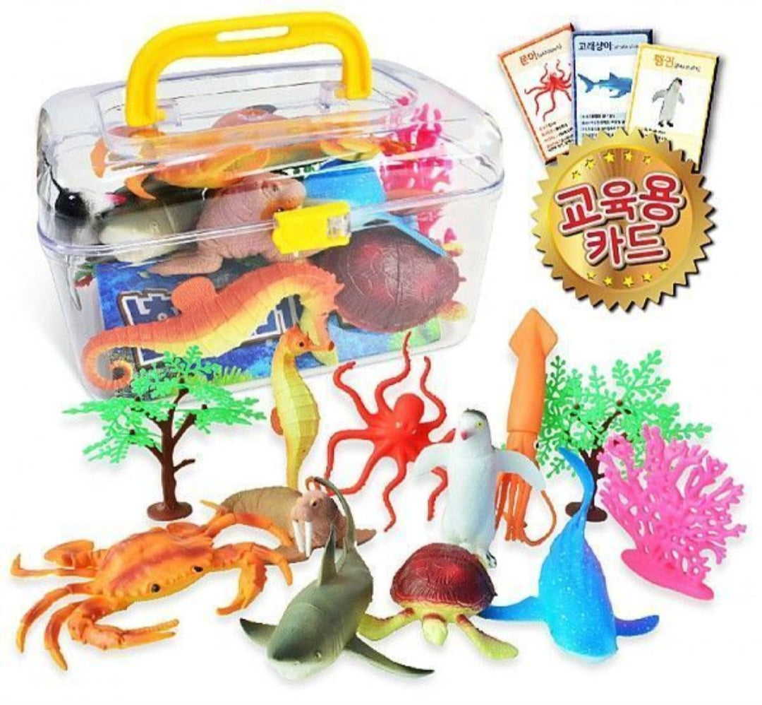 AQUA FRIENDS ADVENTURE