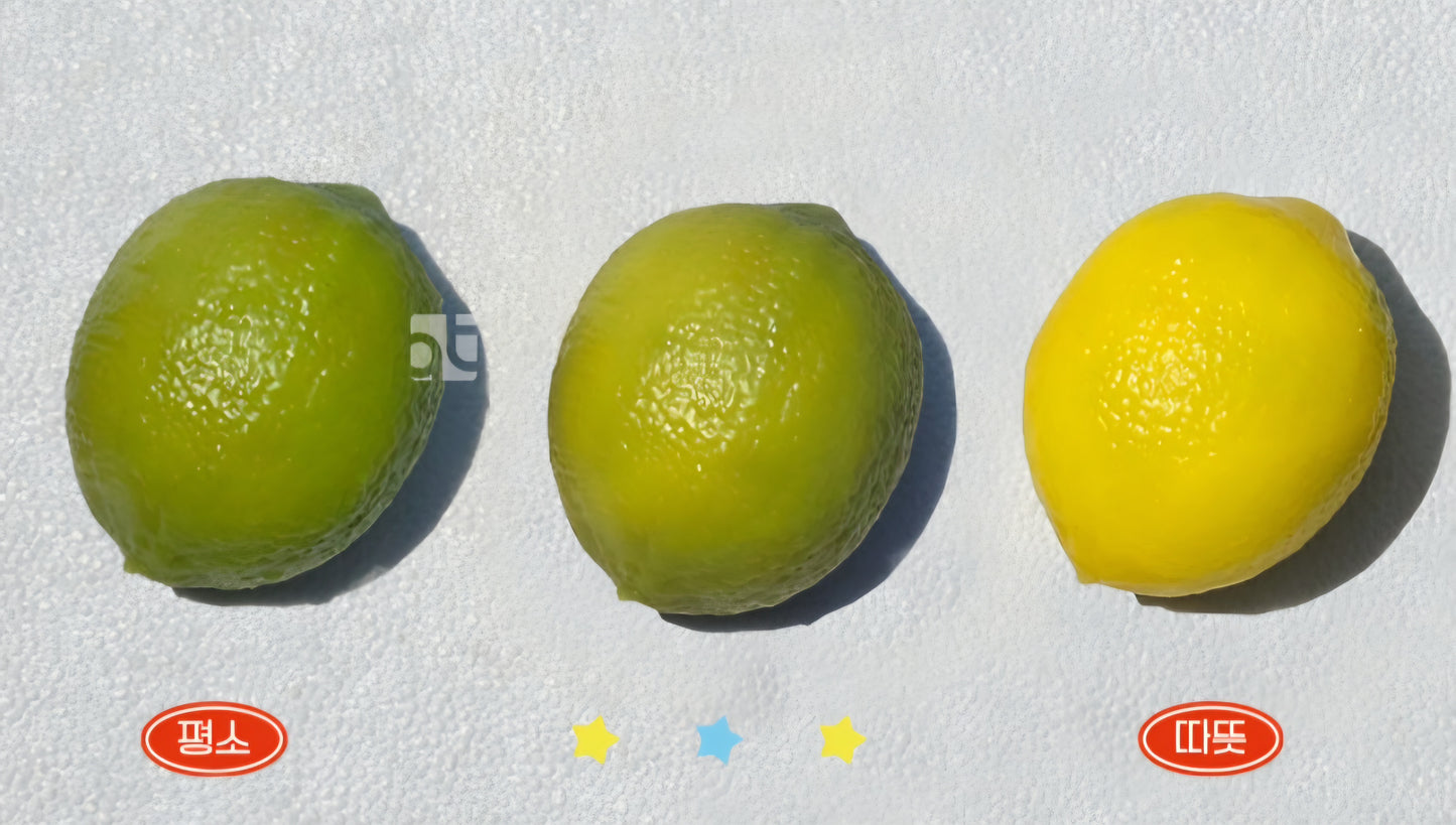 CRUNCHY LEMON SQUISHY