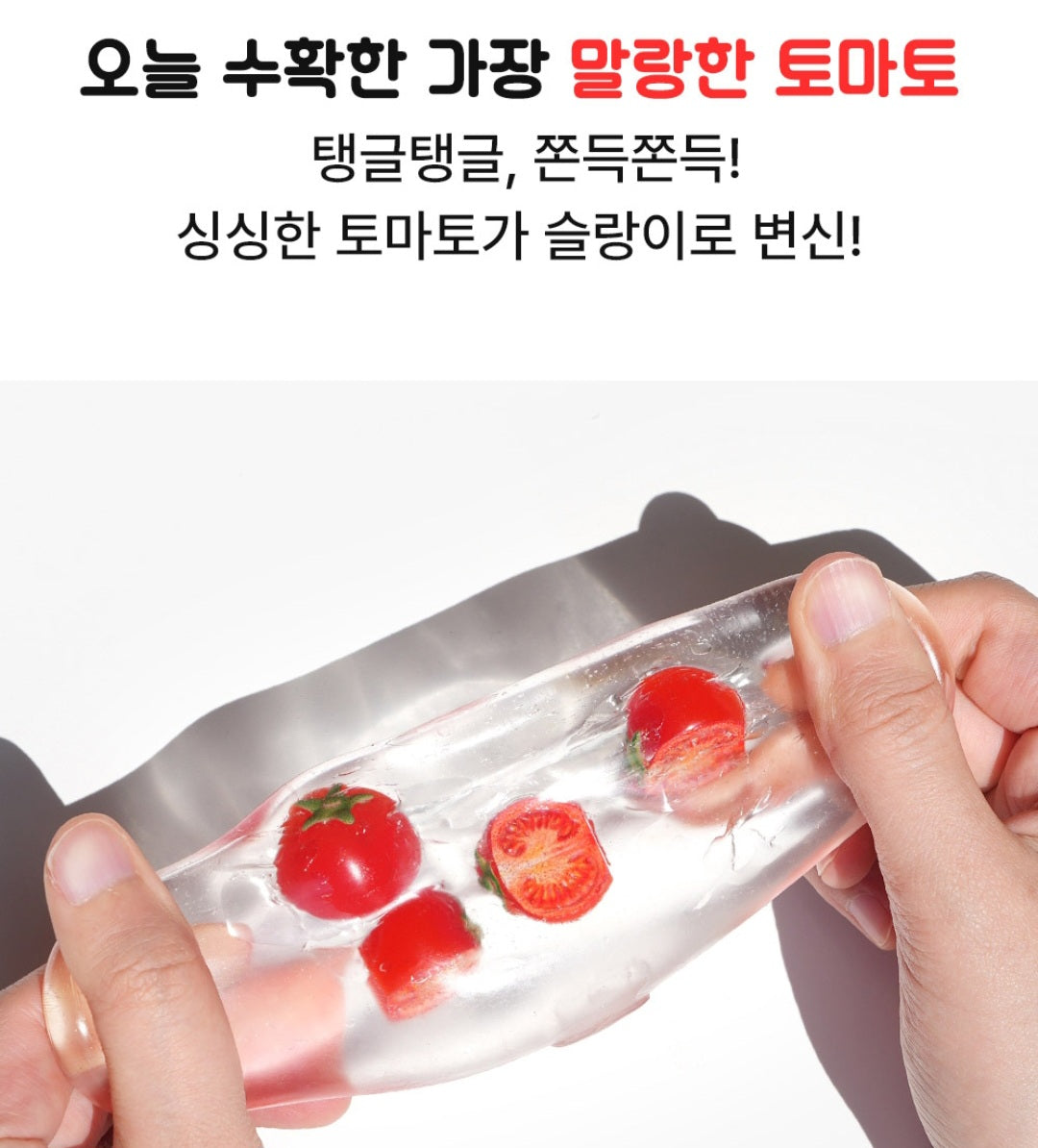 TOMATO SQUISHY