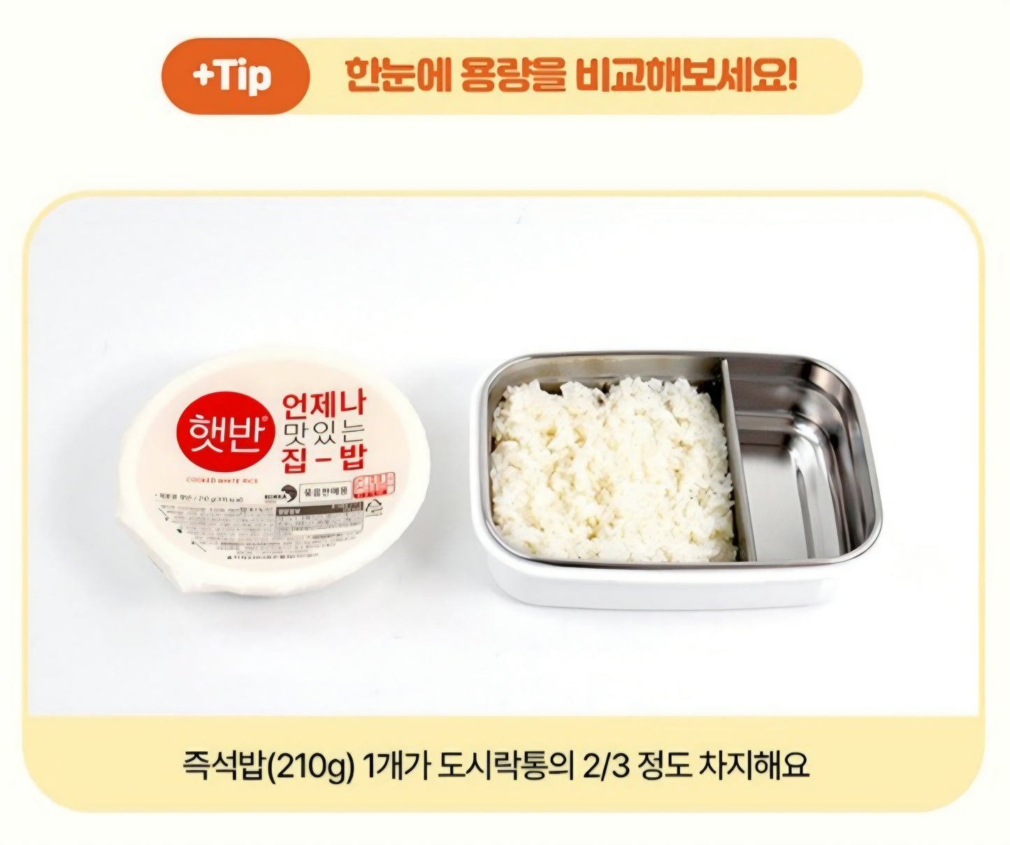 TYRANNO 2 SECTION BENTO