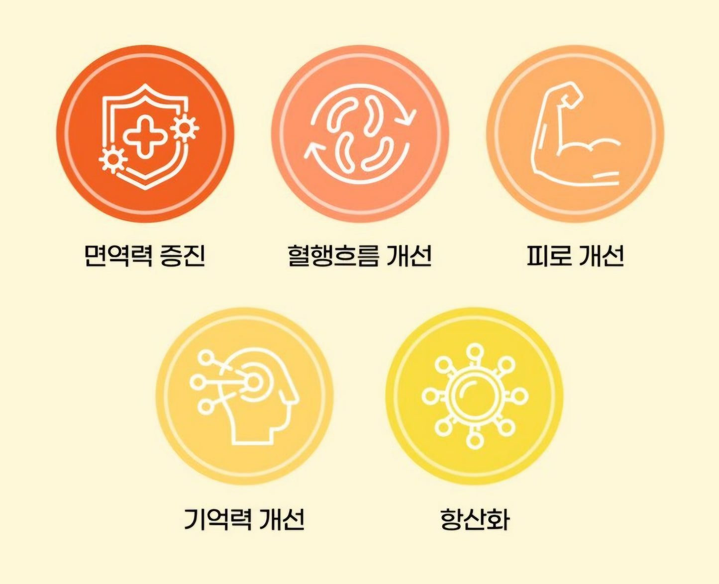 MYNI GINGSENG JELLY STICKS