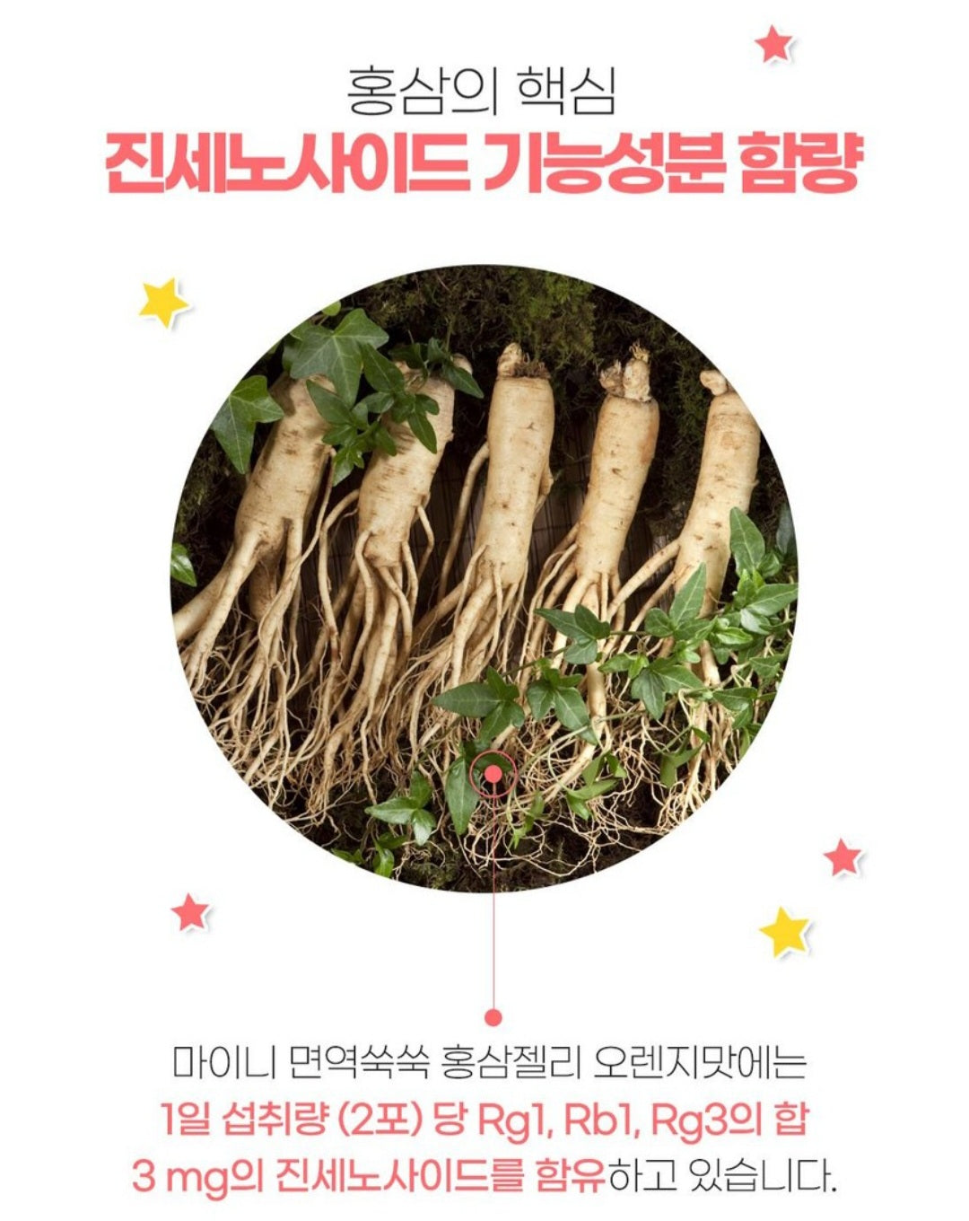 MYNI GINGSENG JELLY STICKS