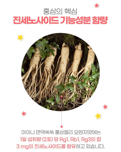 MYNI GINGSENG JELLY STICKS