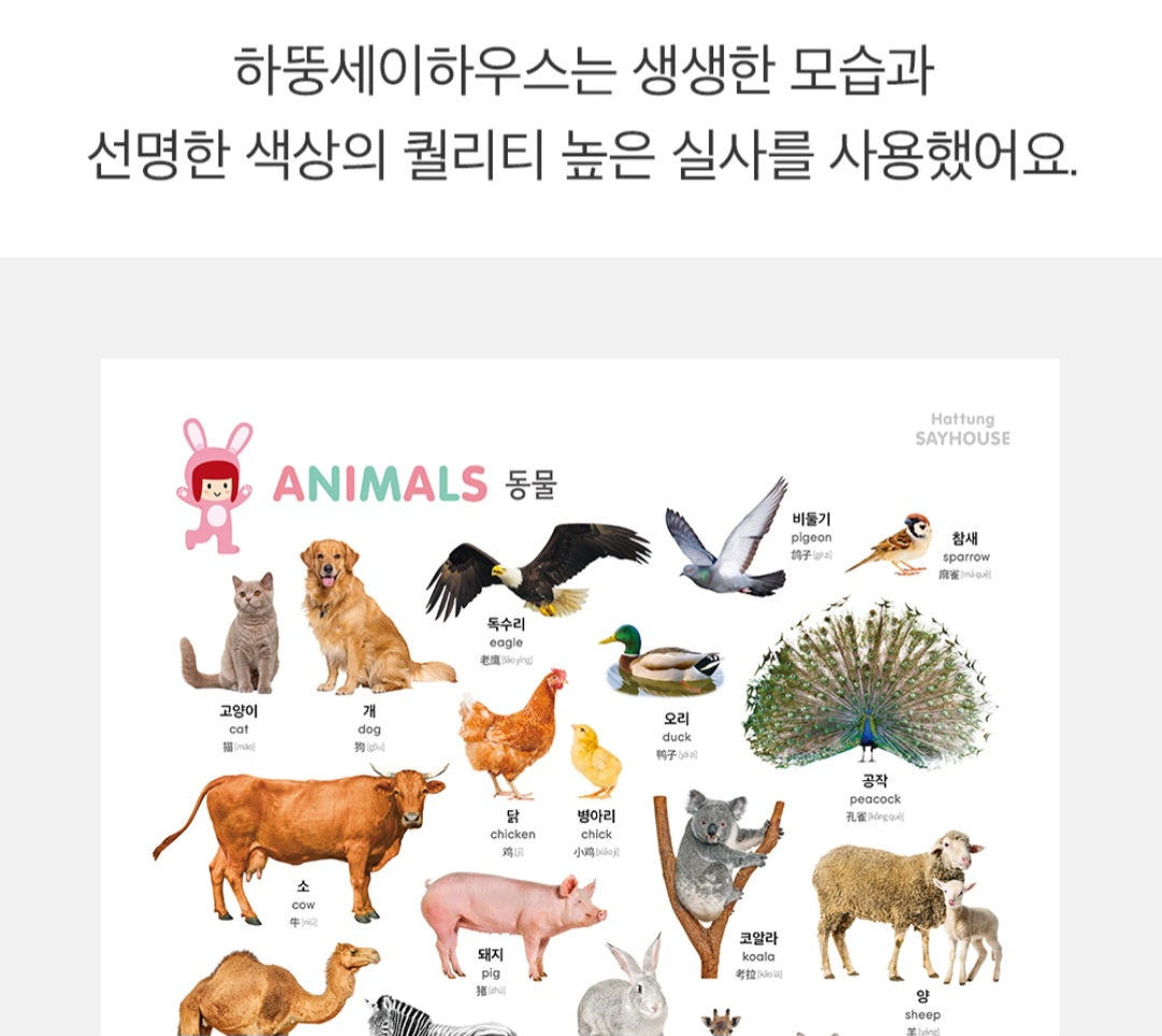 8단 하뚱세이하우스 병풍