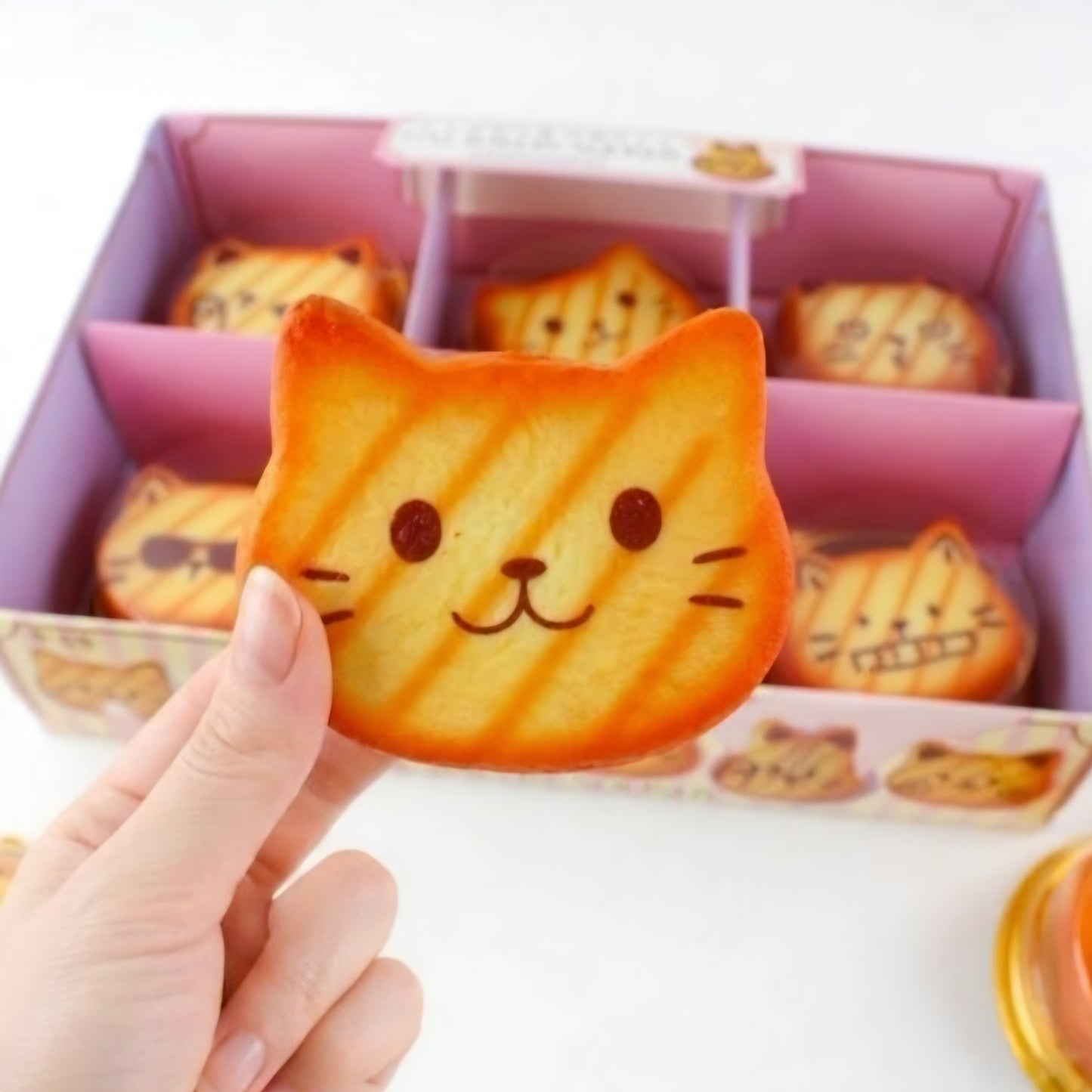 KITTY CAT BREAD SQUISHY