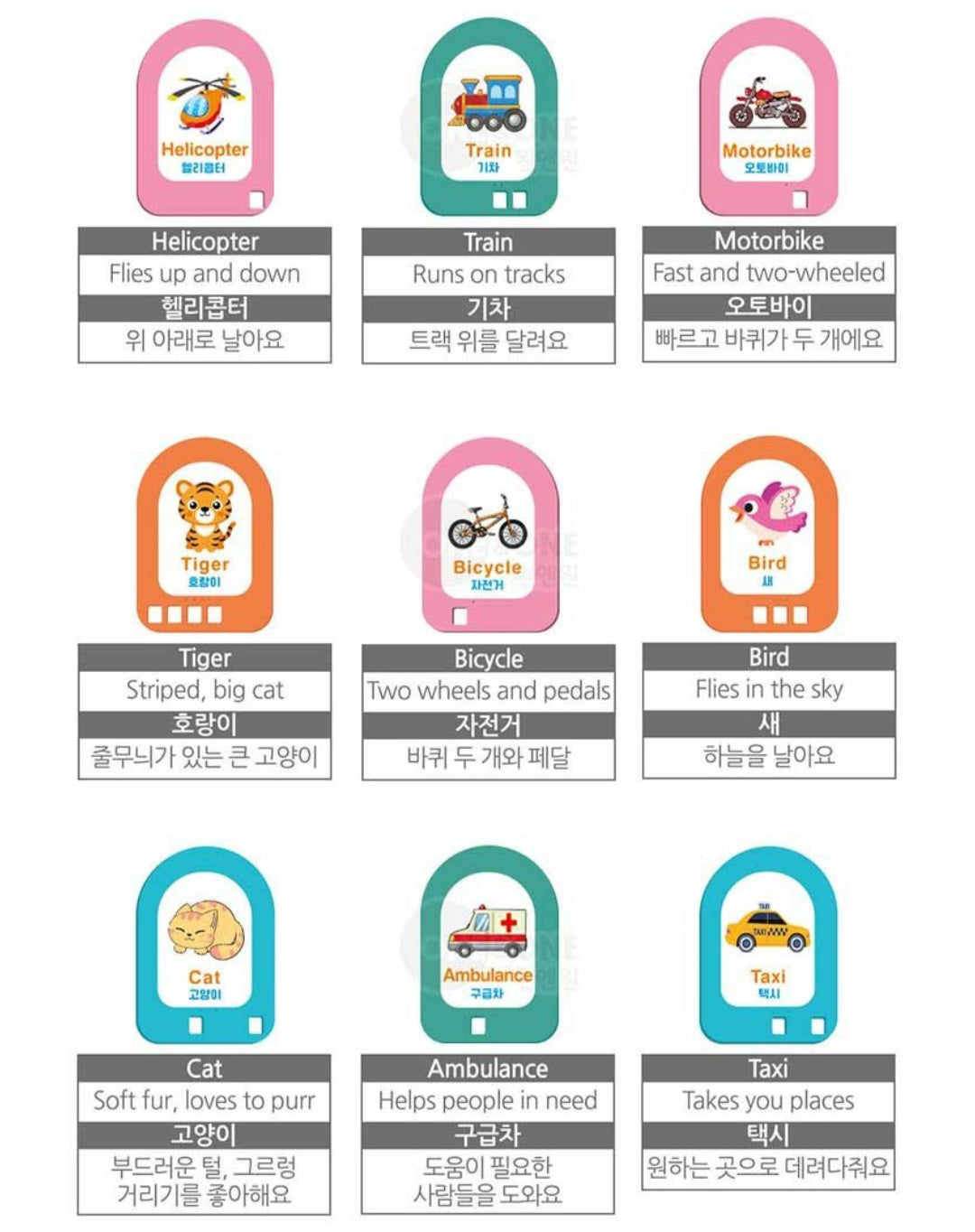 BRAIN LEARNING EDU TRAIN