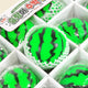 WATERMELON SQUISHY