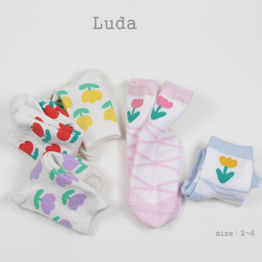 LUDA SOCKS