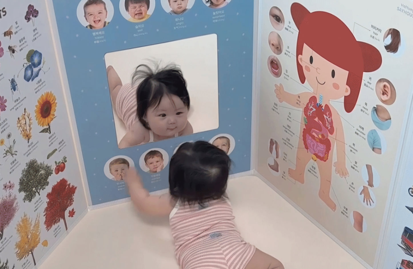 8단 하뚱세이하우스 병풍