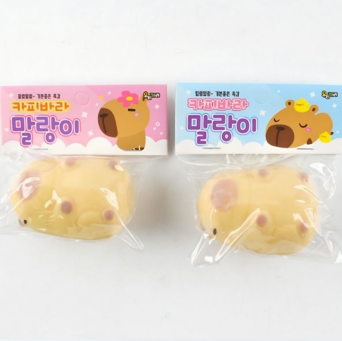 (5) CAPYBARA SQUISHY