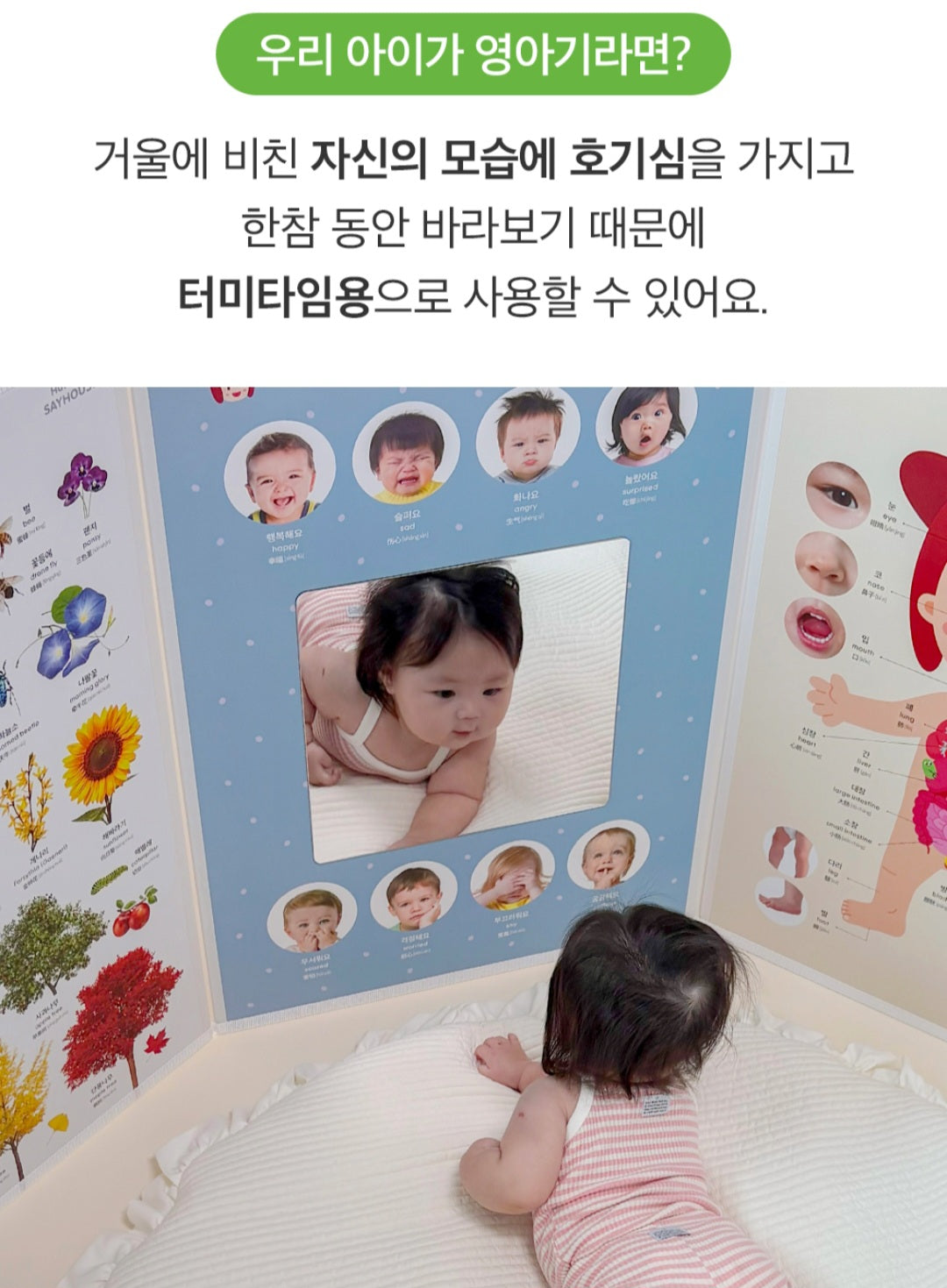 8단 하뚱세이하우스 병풍