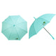 [PICK UP ONLY] BULBASAUR SIMPLE 60 UMBRELLA