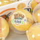 (71) POTATO PANCAKE VASELINE SQUISHY