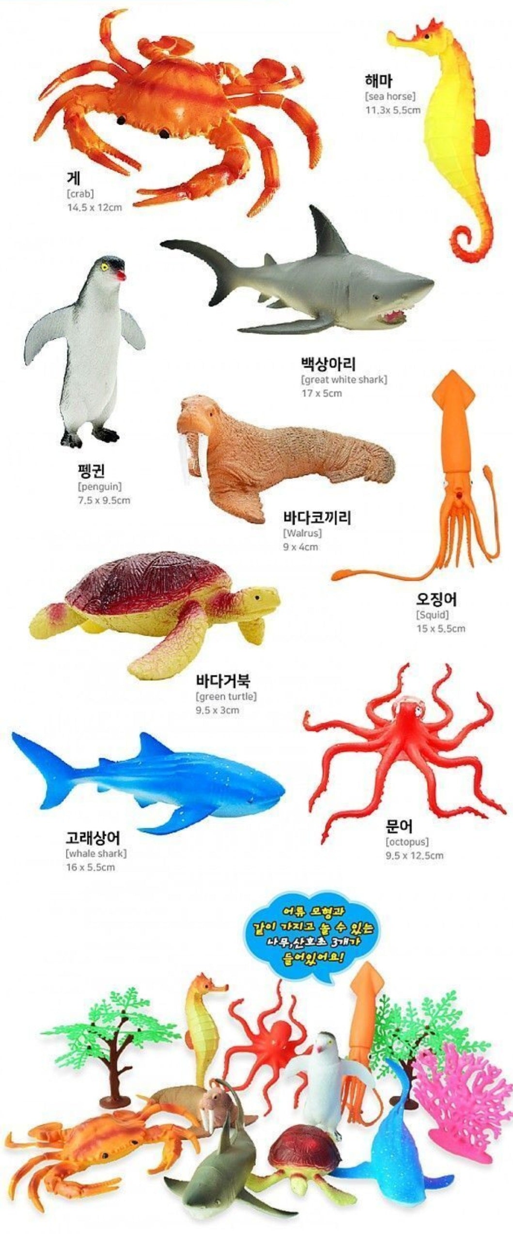 AQUA FRIENDS ADVENTURE