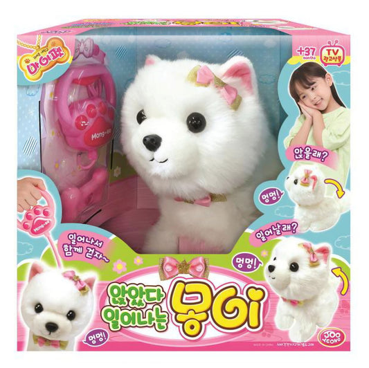 앉았다 일어나는 몽이콩이