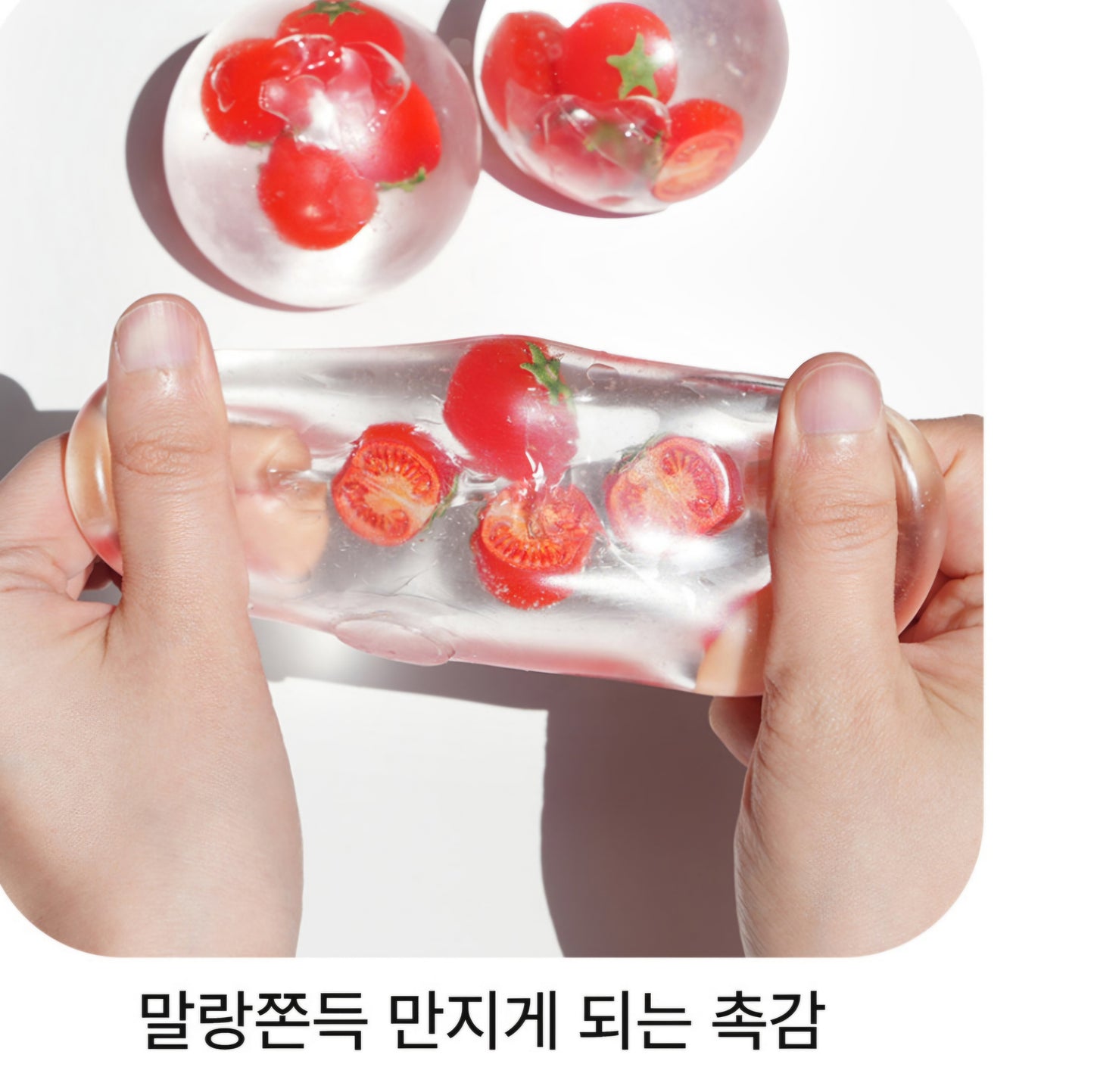 TOMATO SQUISHY