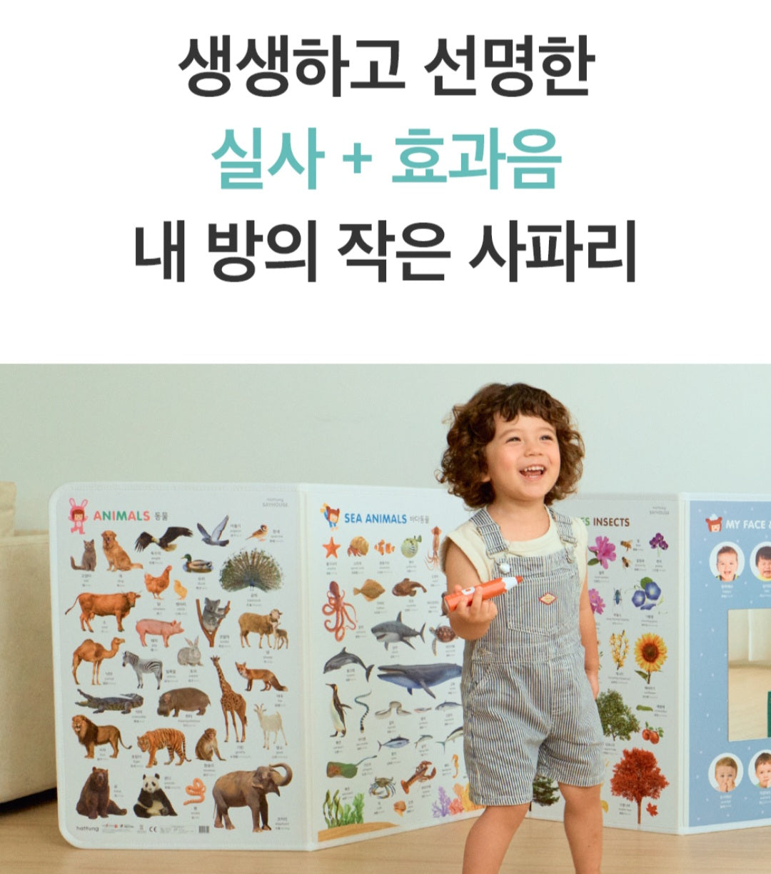 8단 하뚱세이하우스 병풍