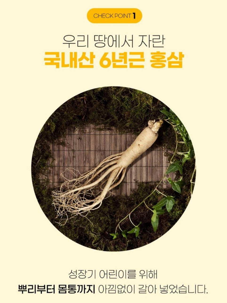 MYNI GINGSENG JELLY STICKS