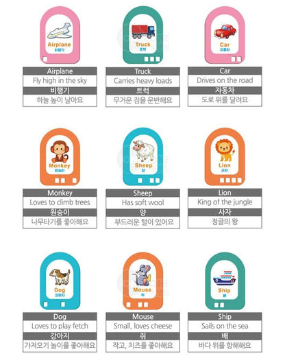 BRAIN LEARNING EDU TRAIN