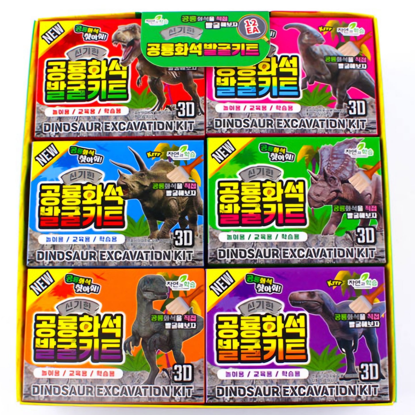 DINOSAUR FOSSIL KIT