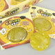 (72) GOLDEN KIWI SLUSHY SQUISHY