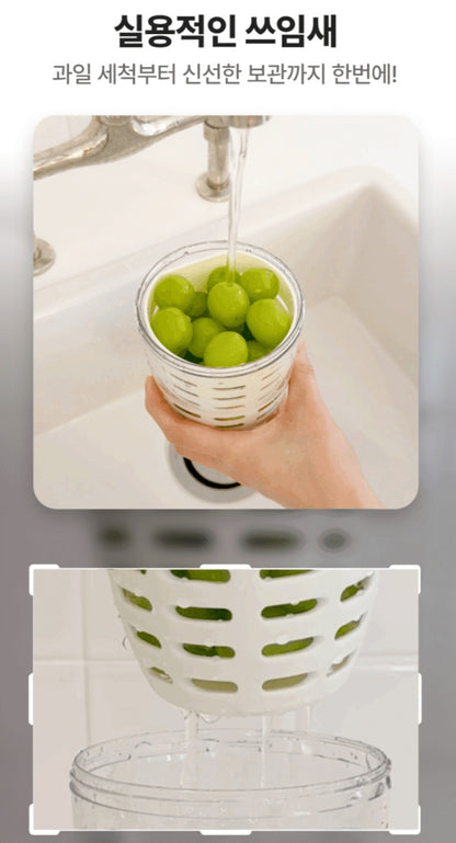 DASODA FRUIT POT