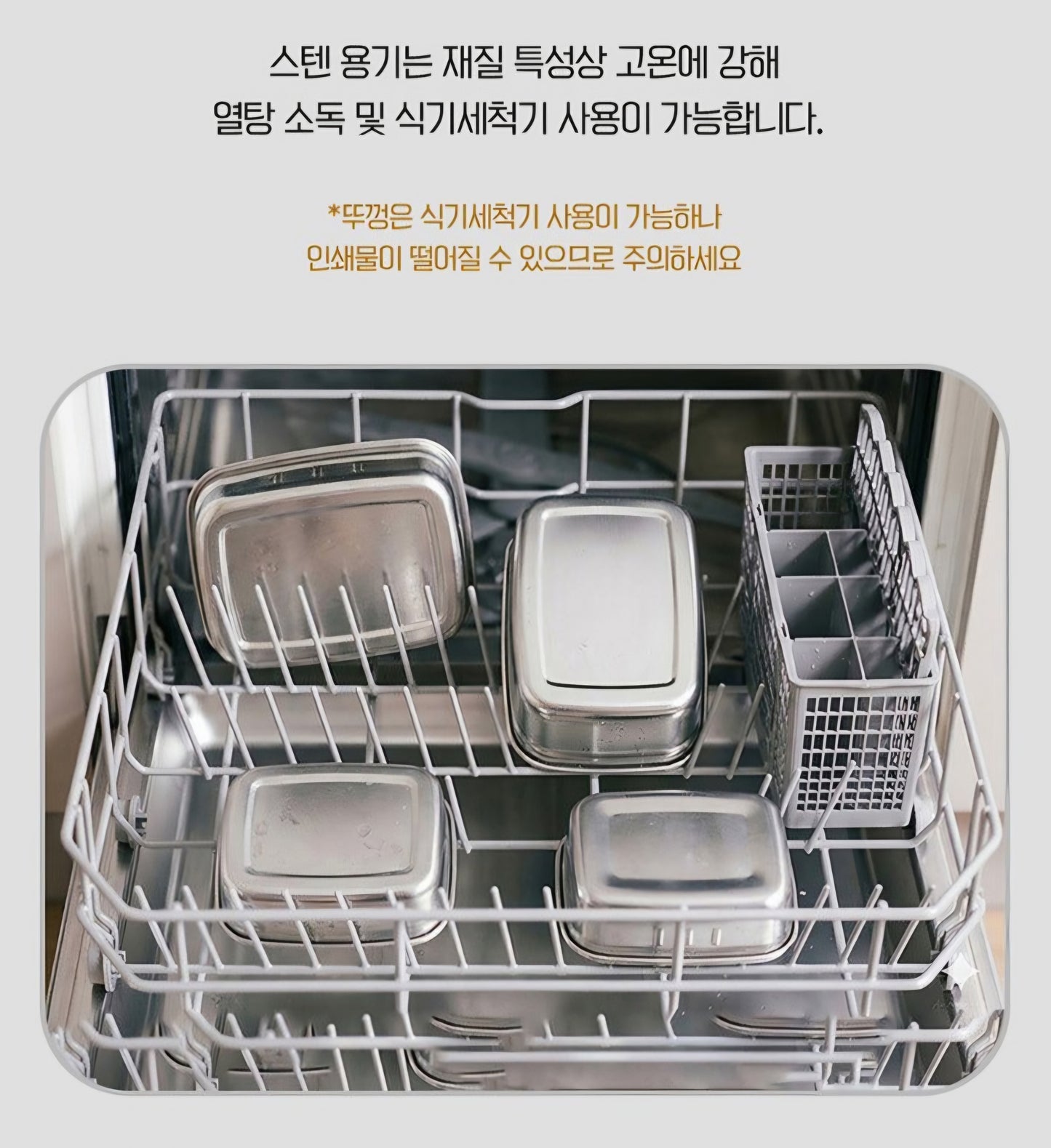 BEAR 2 SECTION BENTO
