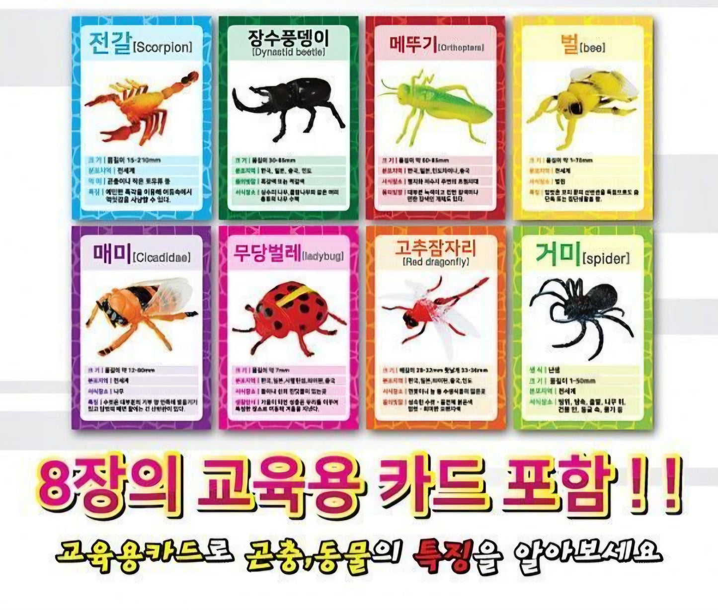 JUNGLE FRIENDS ADVENTURE