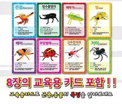 JUNGLE FRIENDS ADVENTURE