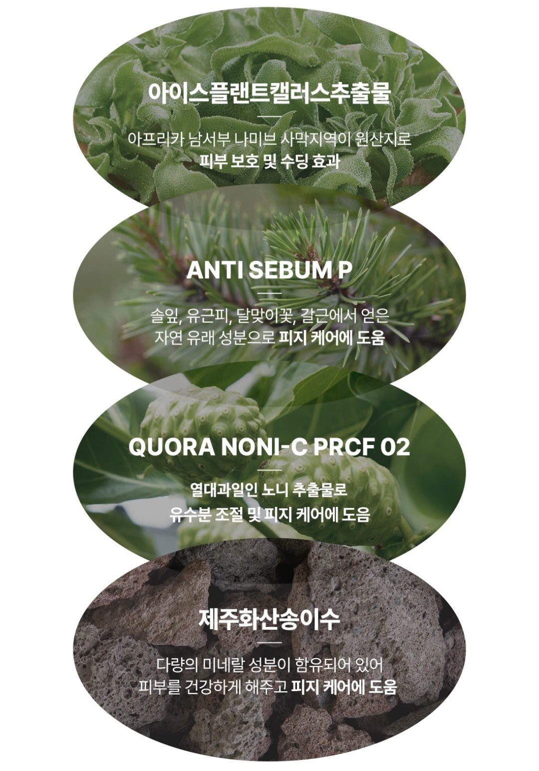 AVCA TONE UP SUN CREAM