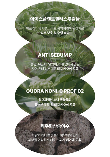 AVCA TONE UP SUN CREAM